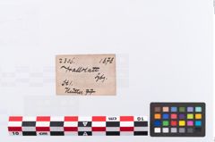 Etikett zu Bronzekahnfibel (NHMW-PRAE-002306)